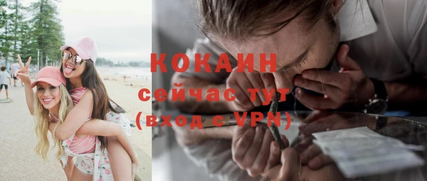 индика Ладушкин