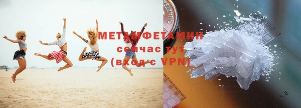 индика Ладушкин