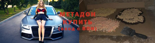 индика Ладушкин