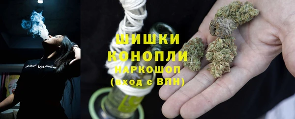 индика Ладушкин