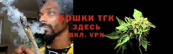 индика Ладушкин