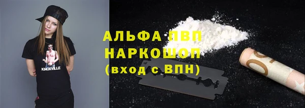 индика Ладушкин
