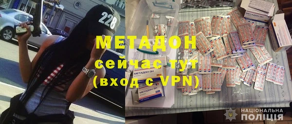 индика Ладушкин