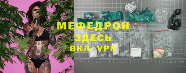 индика Ладушкин
