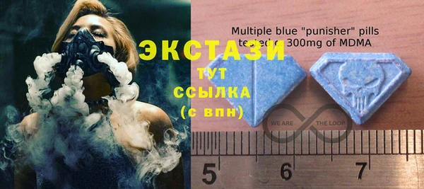 индика Ладушкин