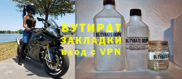 индика Ладушкин
