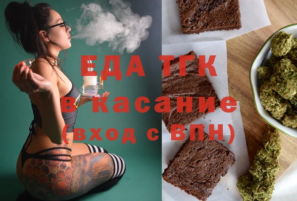 индика Ладушкин